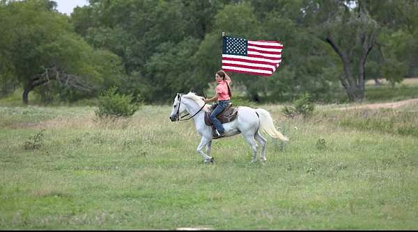 ridden-western-pony
