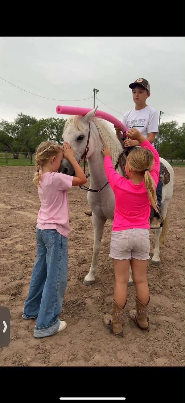 trail-pony