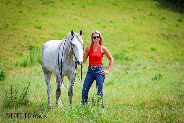 endurance-draft-horse