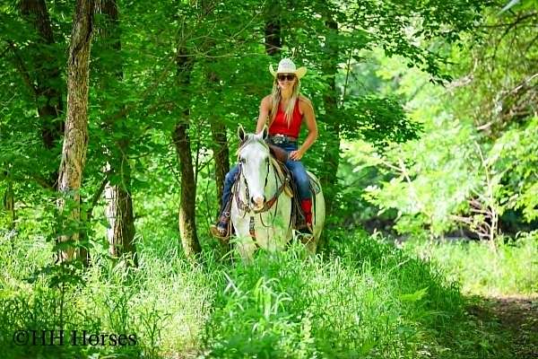 performance-draft-horse
