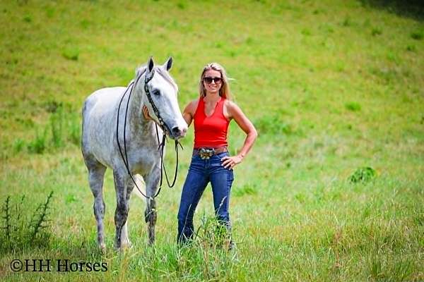 ranch-work-draft-horse