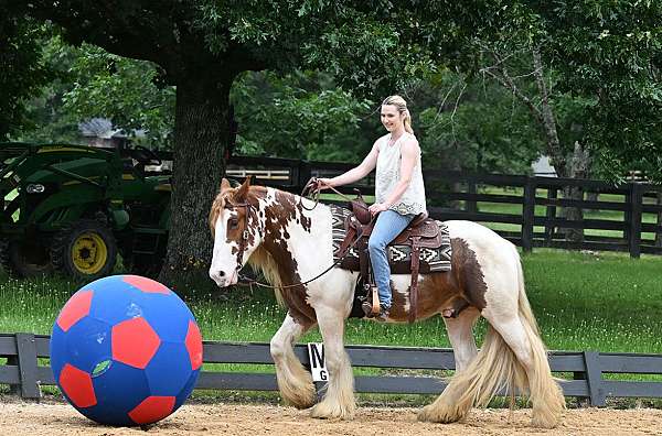 western-gypsy-vanner-horse