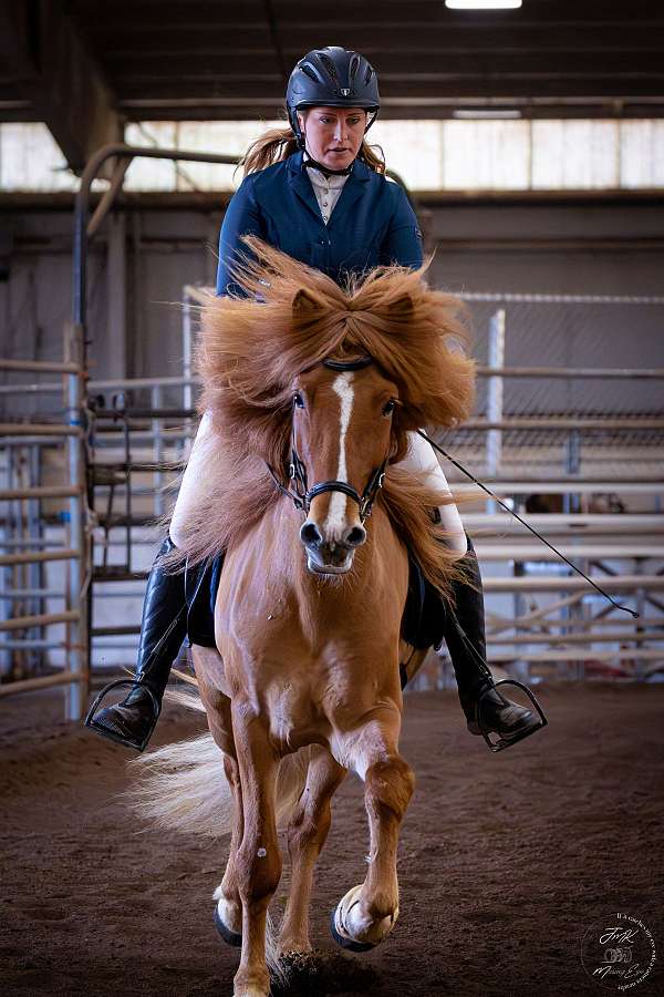 blaze-horse