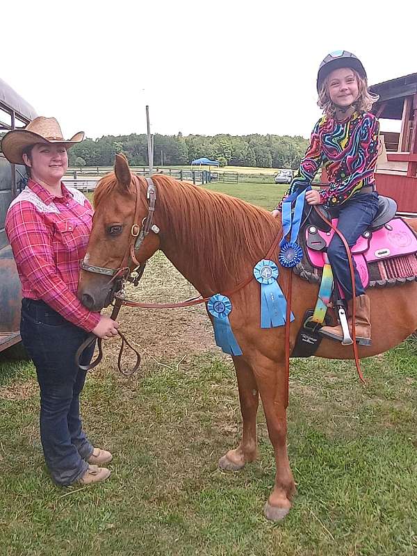 sorrel-quarter-pony-gelding
