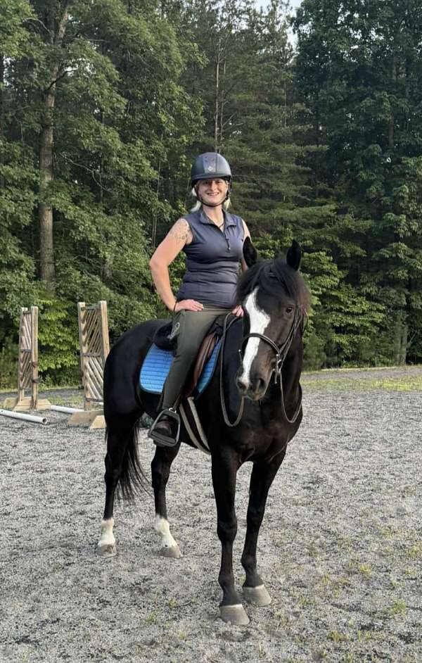 trail-riding-quarter-horse