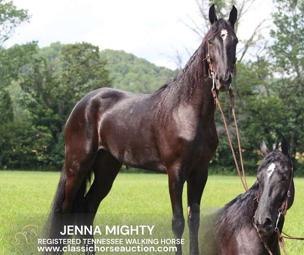 keg-shoes-tennessee-walking-horse