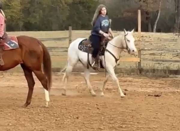 appaloosa-horse