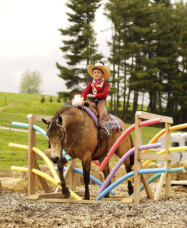 calf-roping-quarter-pony