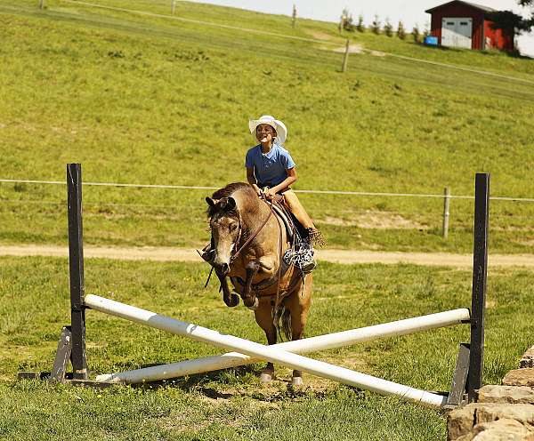heading-quarter-pony