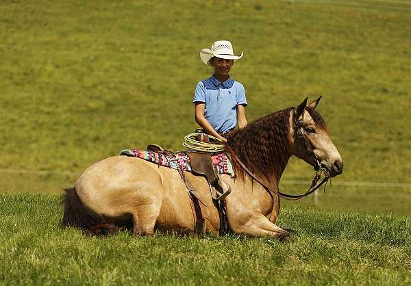 husband-safe-quarter-pony