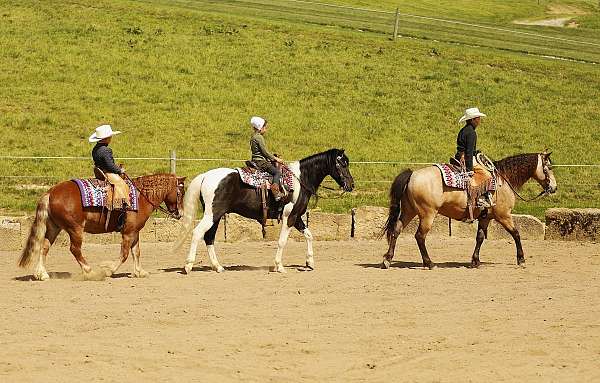 athletic-pony
