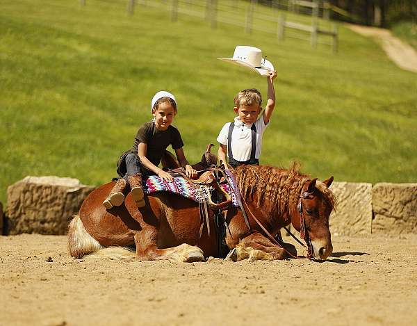 athletic-pony