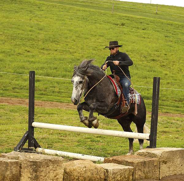 cross-draft-horse