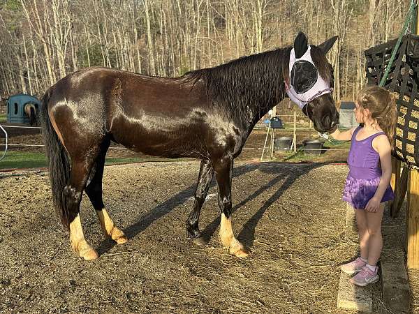 belle-mustang-horse