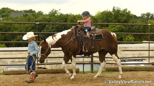 ridden-western-paint-horse