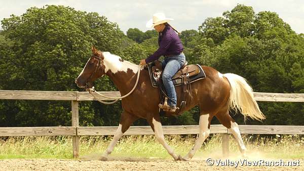 trail-paint-horse