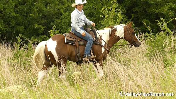 trail-riding-paint-horse