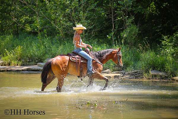 athletic-paint-horse