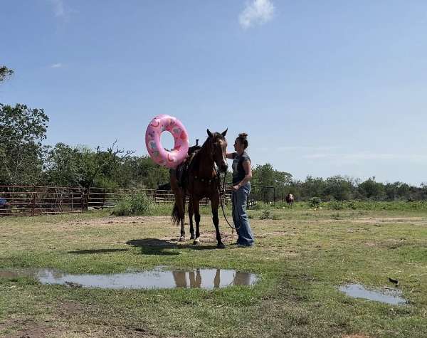calf-roping-quarter-horse