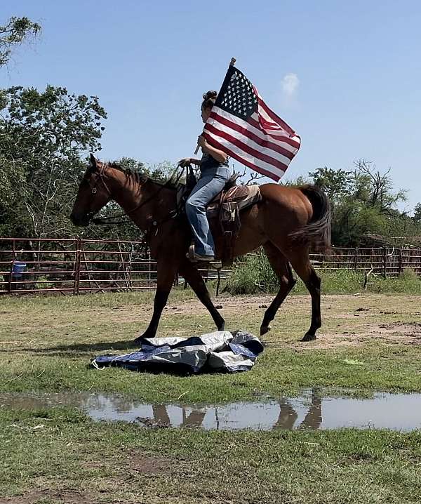 ranch-versatility-quarter-horse