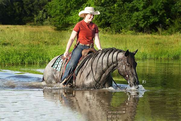 drill-team-quarter-horse