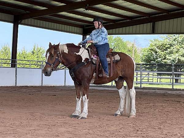 dressage-draft-horse