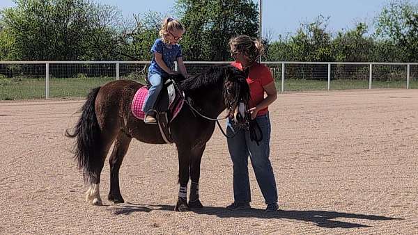 buckskin-lower-on-insid-pony