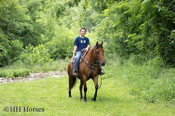 beginner-quarter-horse