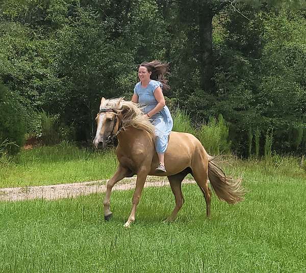 tobiano