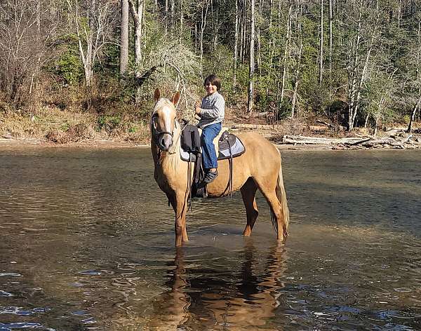 star-lh-sock-horse