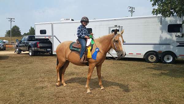 baths-tennessee-walking-horse