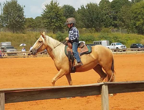 beautiful-tennessee-walking-horse