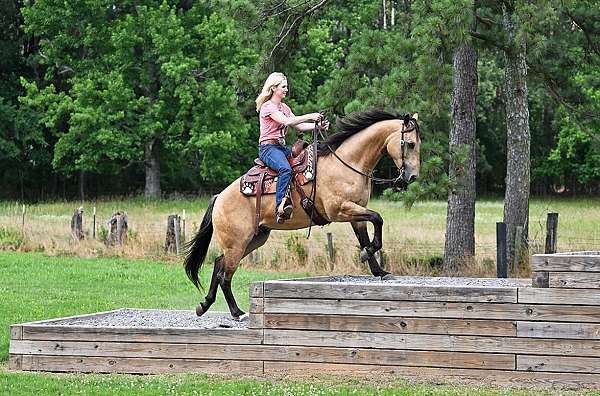 gentle-quarter-horse