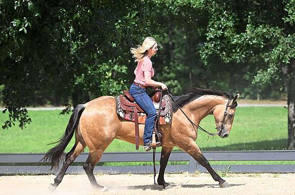all-around-quarter-horse