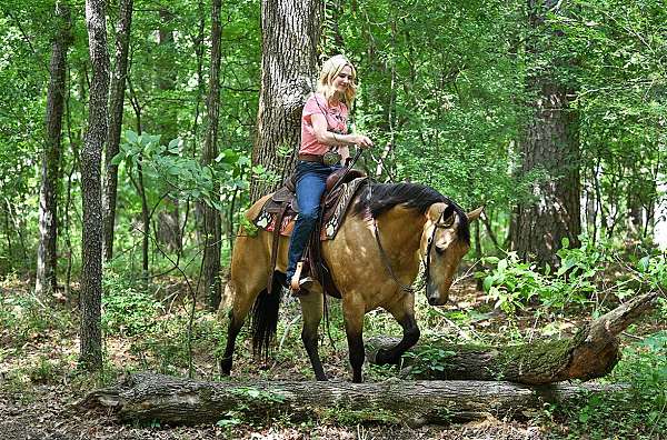 kid-safe-quarter-horse