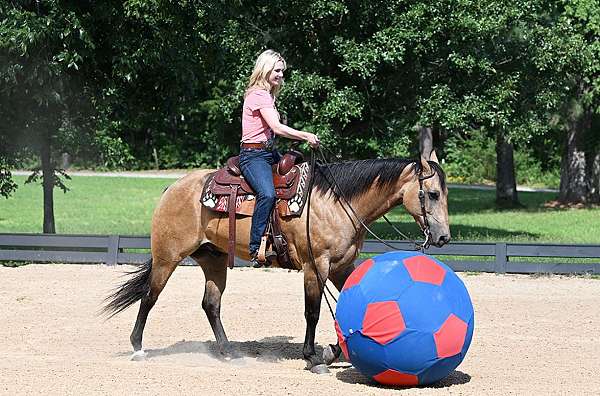 lesson-quarter-horse