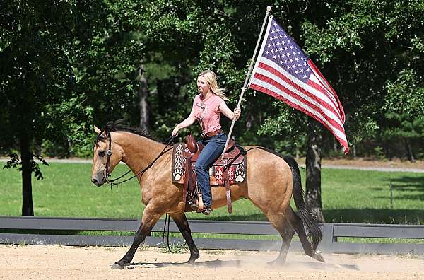parade-quarter-horse