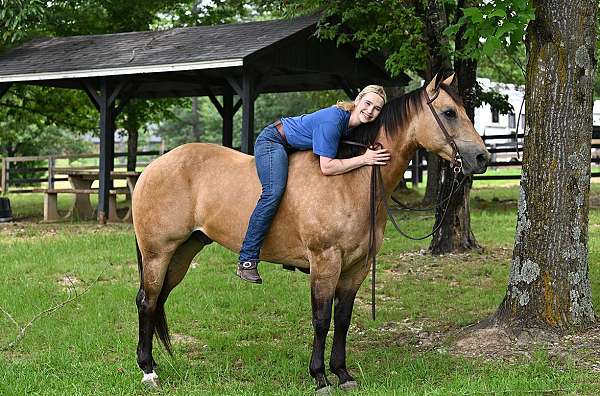 playday-quarter-horse