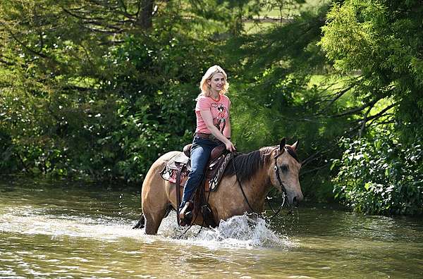 athletic-quarter-horse