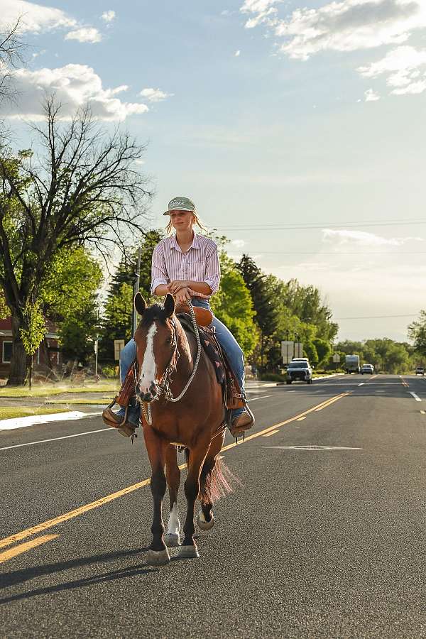 all-around-quarter-horse
