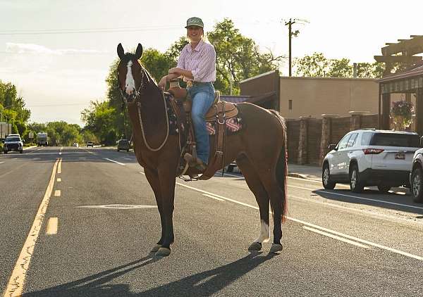 calf-roping-quarter-horse