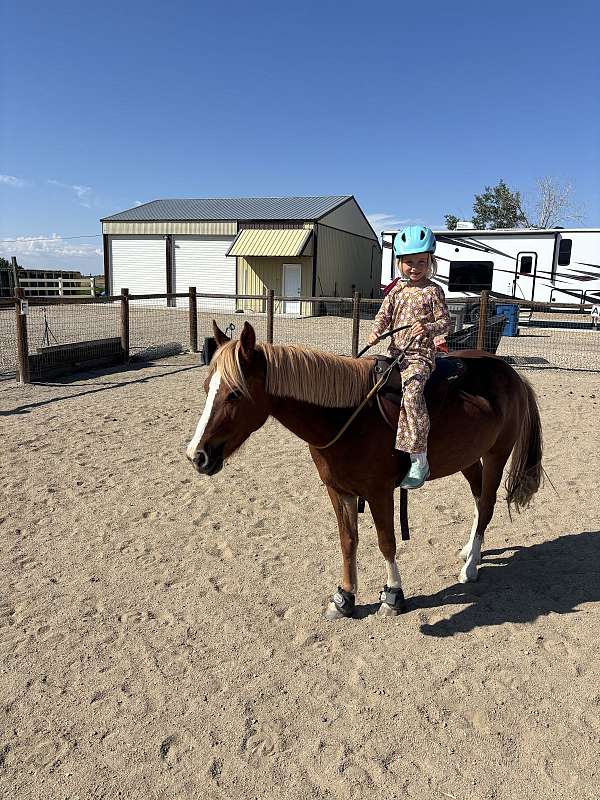 athletic-pony