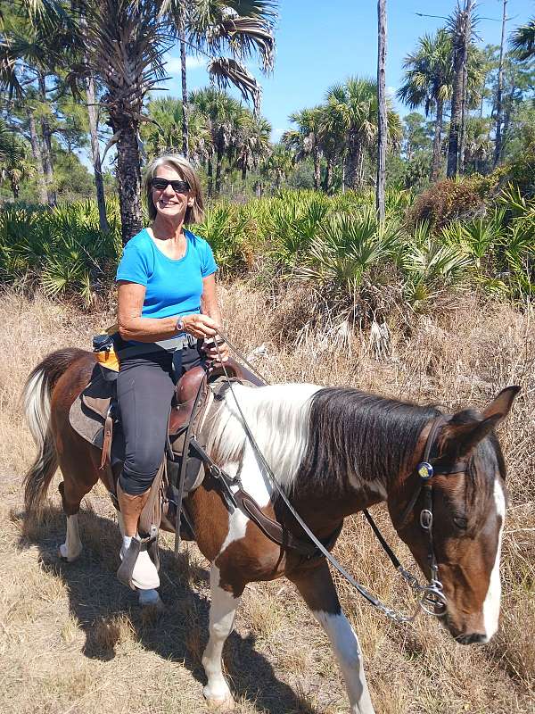 racking-horse