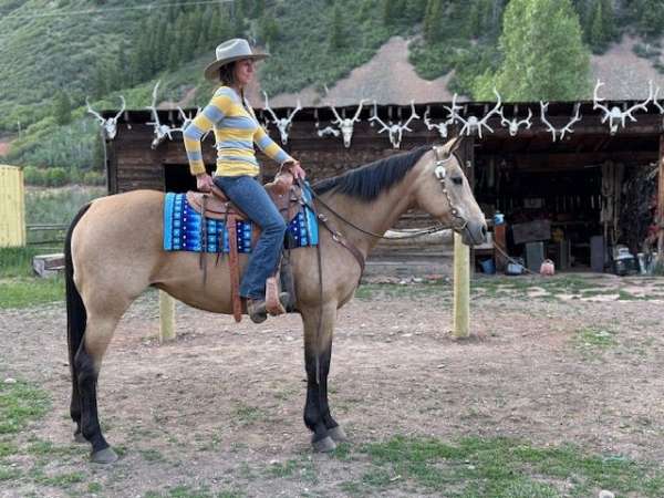 dude-mare