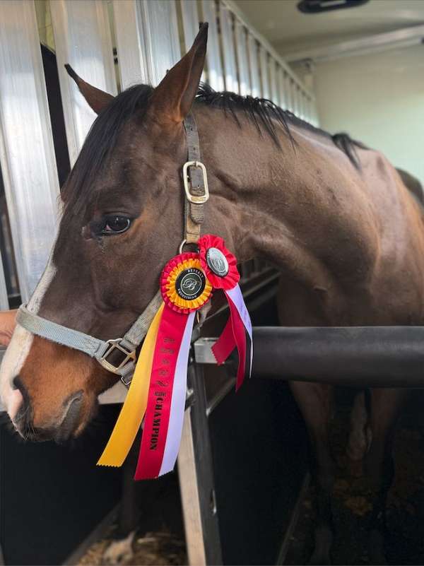hind-chrome-ankles-blaze