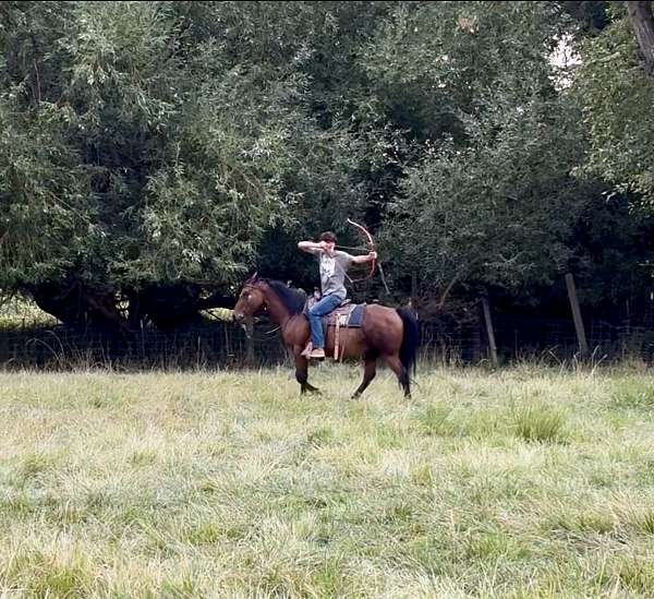 cowboy-mounted-shooting-anglo-arabian-horse