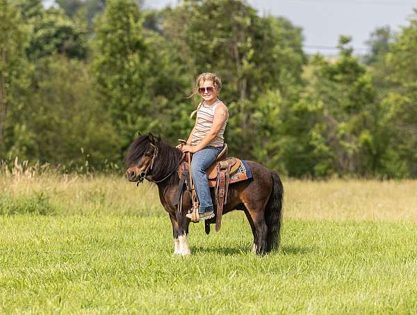 trail-pony