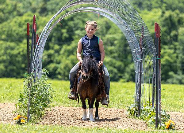 kid-safe-pony