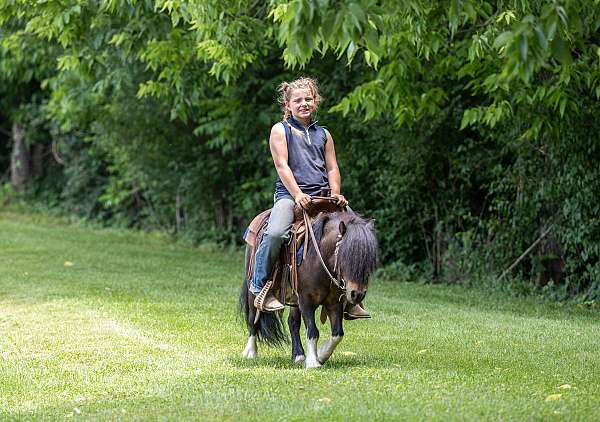 lesson-pony