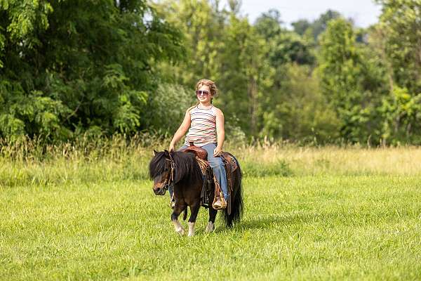 bay-kid-safe-pony